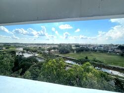 Blk 117 Chong Pang Vale (Yishun), HDB 4 Rooms #597464851